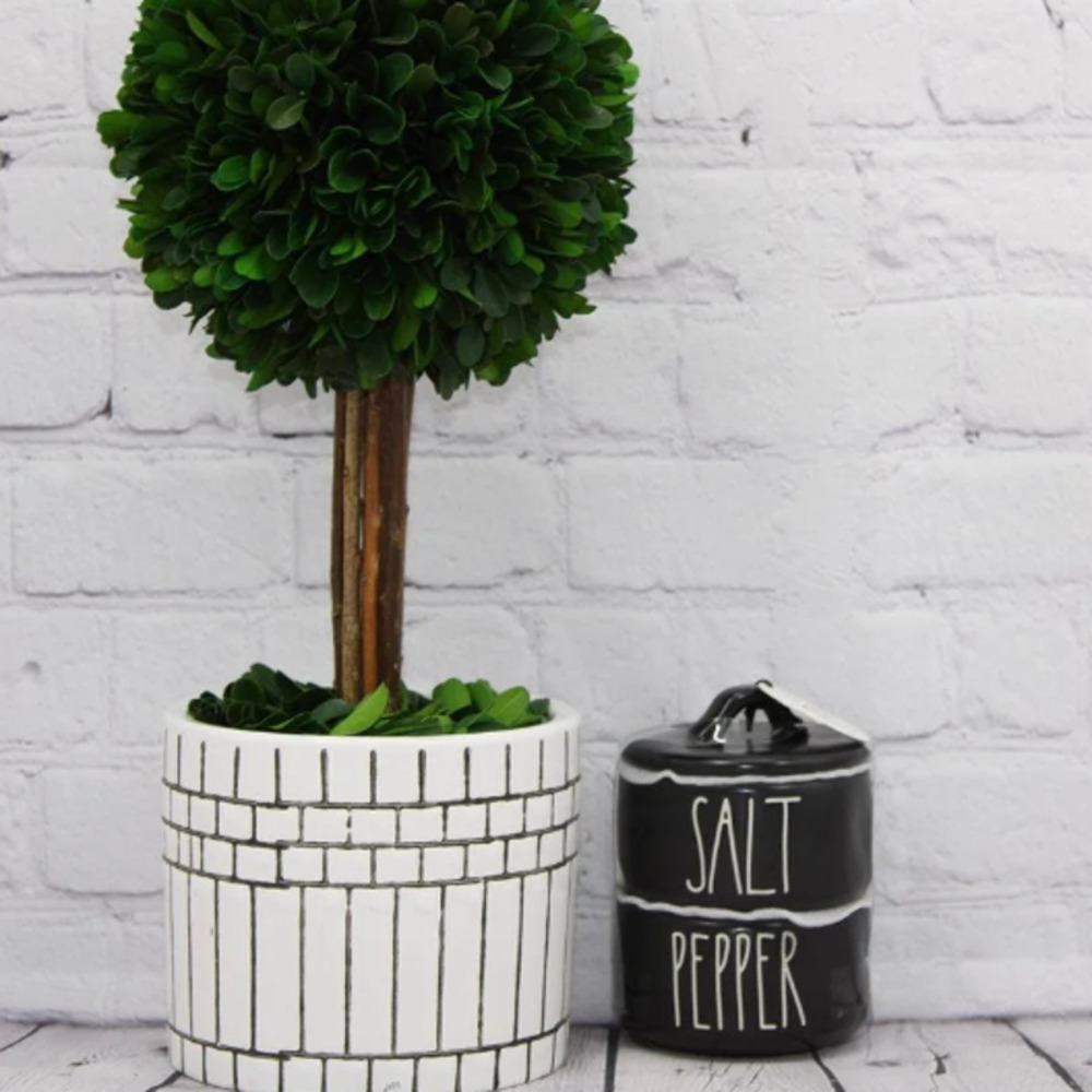 Rae Dunn Salt and Pepper Cellar